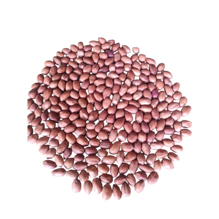 পাবনার চরাঞ্চলের প্রিমিয়াম কাঁচা চিনাবাদাম hover